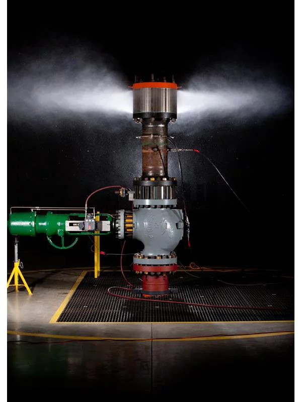 Fisher™ Severe Service Control Valves